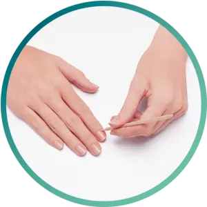 cuticula